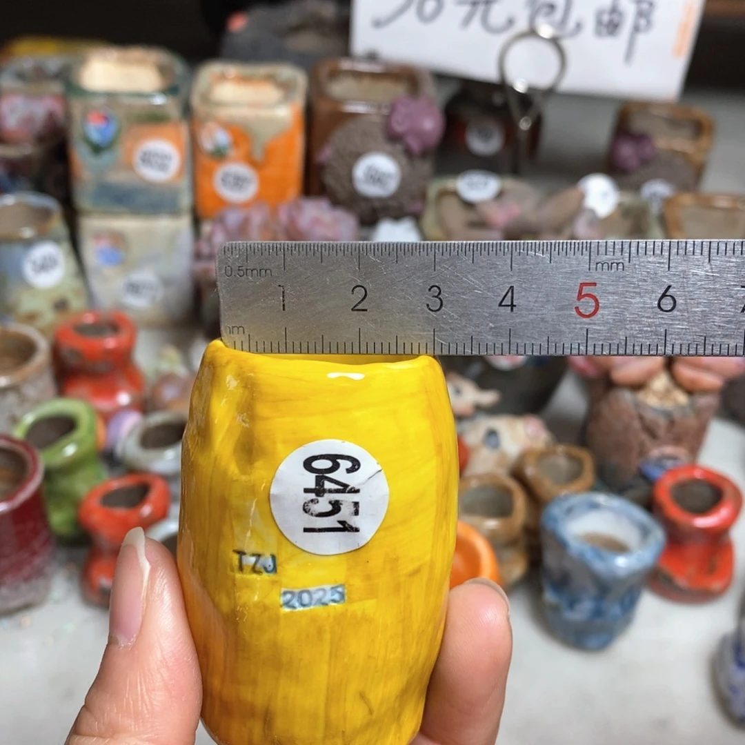 花盆特价，不退不换的