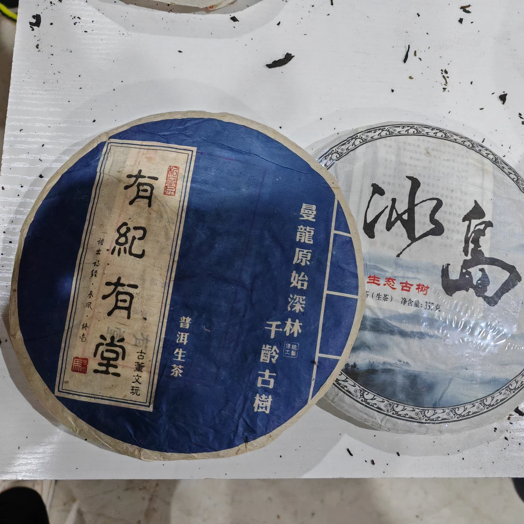 冰岛+有纪有堂 生茶 357克