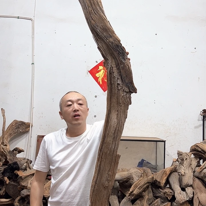 柏木洋****术我们的生活也是如此的