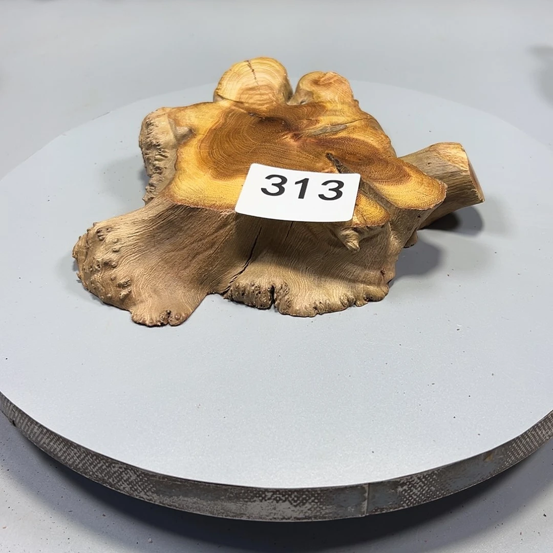 大果紫檀（缅甸花梨）巅*