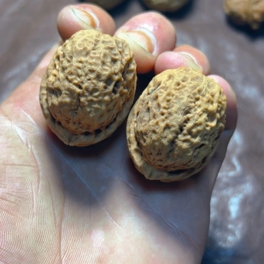 把件文玩核桃8号小粗筋绣球纹卡39