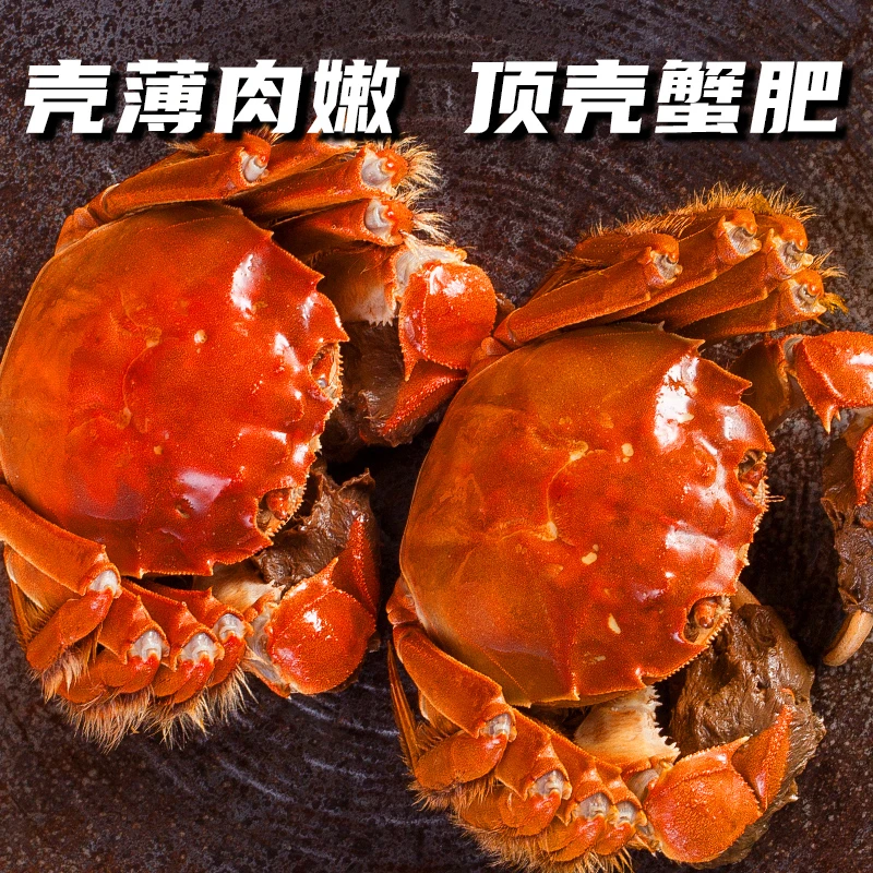 【活蟹现发】鲜活大闸蟹全公蟹4.0-3.7两 8/10只
