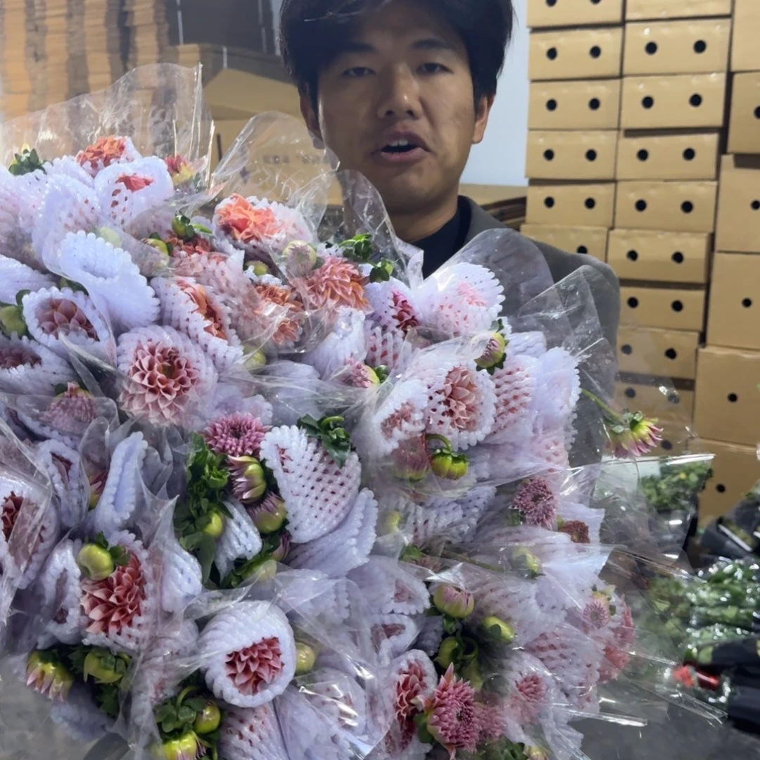 奶油桃子2扎包邮价秒杀