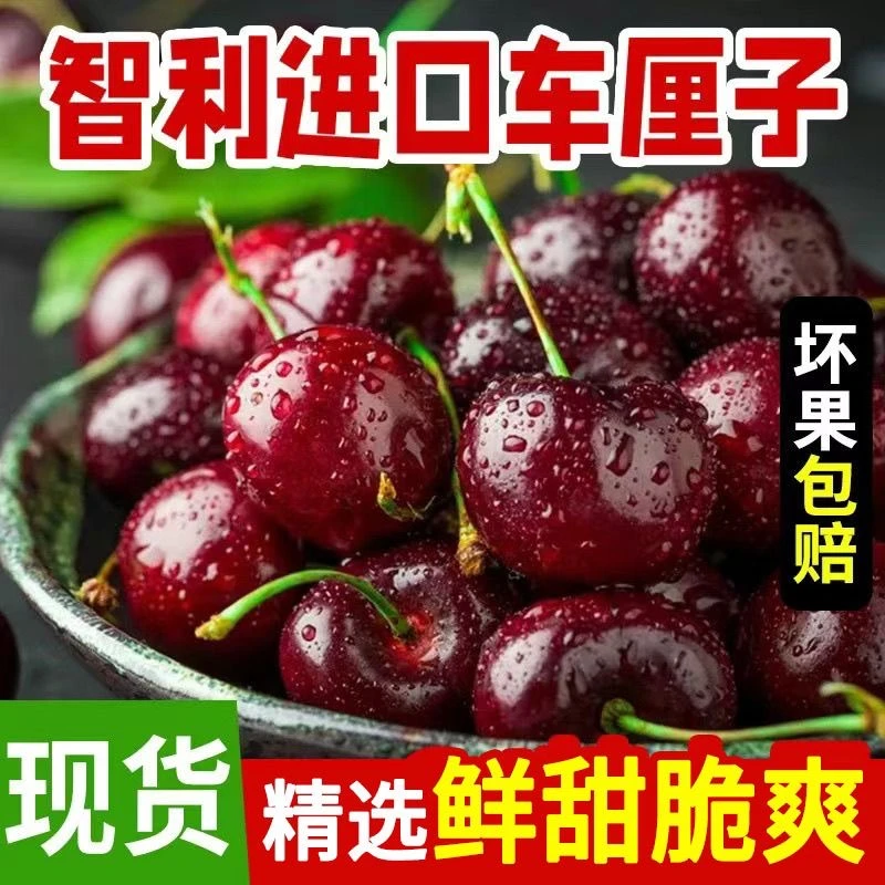 3-4JDD果王【今天拍明天到】智利进口空运车厘子鲜头茬宝宝孕妇内附果径卡800-2500g桑提娜樱桃智利共和国
