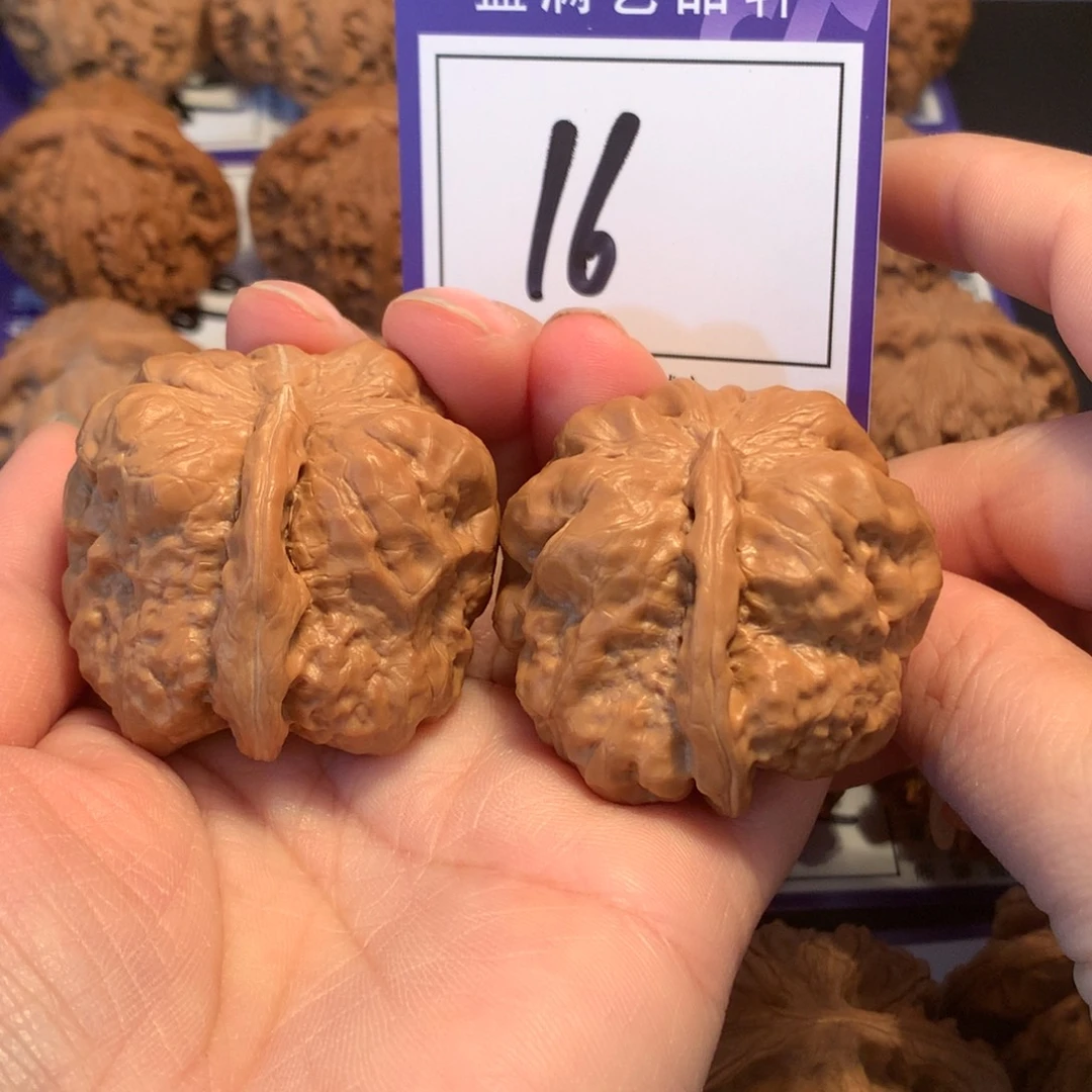 核桃16一根筋4.1全品