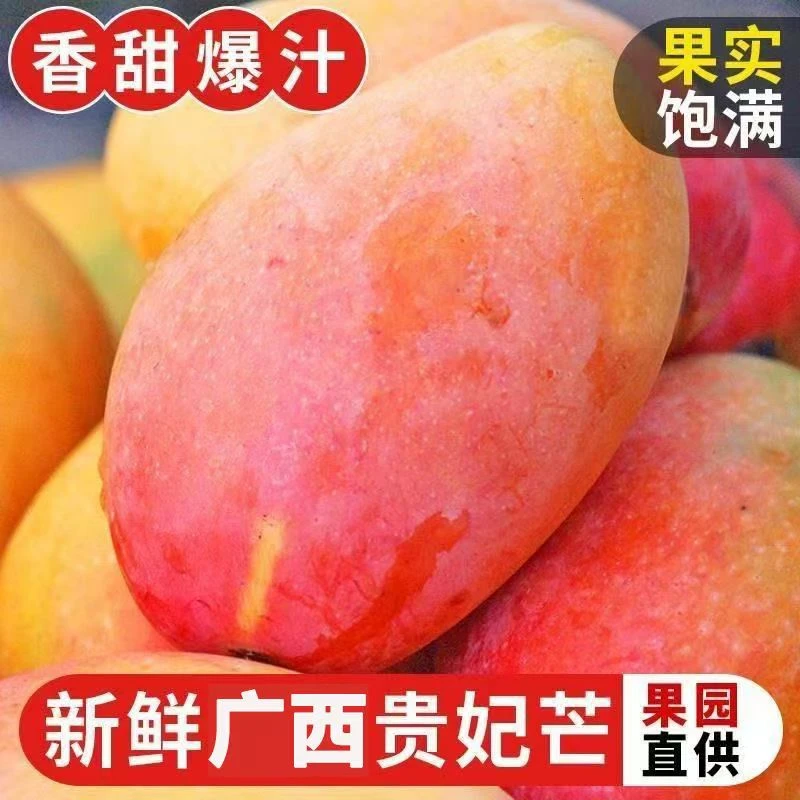 广西金煌芒果新鲜应季水果爆甜多汁皮薄肉厚果园批发现摘现发包邮