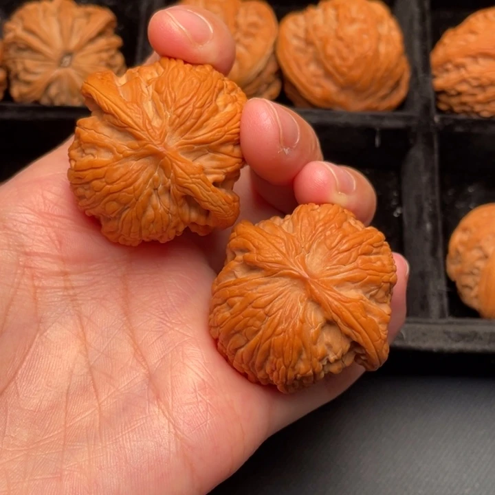 菩提籽类秦岭野生核桃文玩