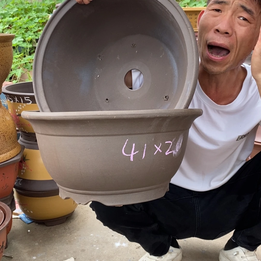 紫砂紫砂紫砂紫砂
