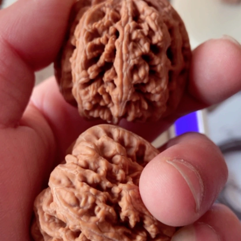 【闪购商品】海*湾全品无修45大粗筋有黄