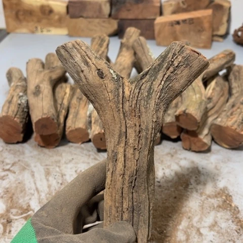 大果紫檀（缅甸花梨）.****路