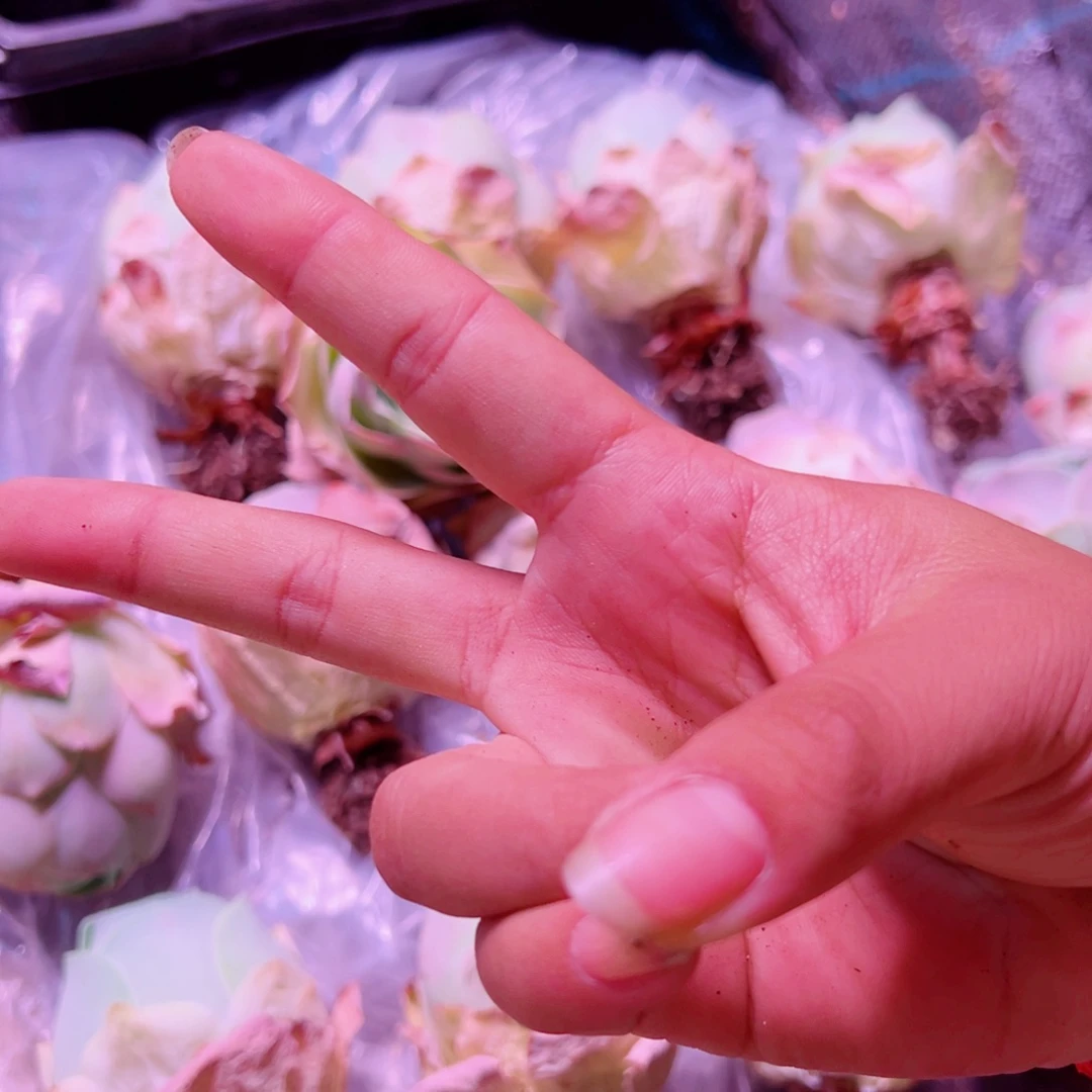 可**爱可爱紫帕专拍。