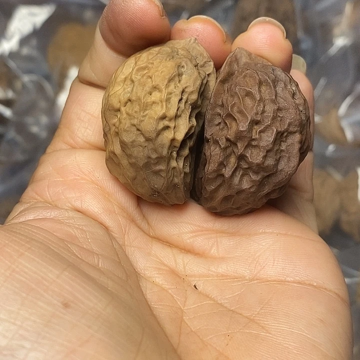 把件文玩核桃云南铁核桃43