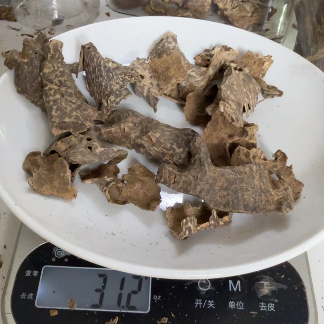 束***光沉香沉香碎屑芽庄鸡母虫31克