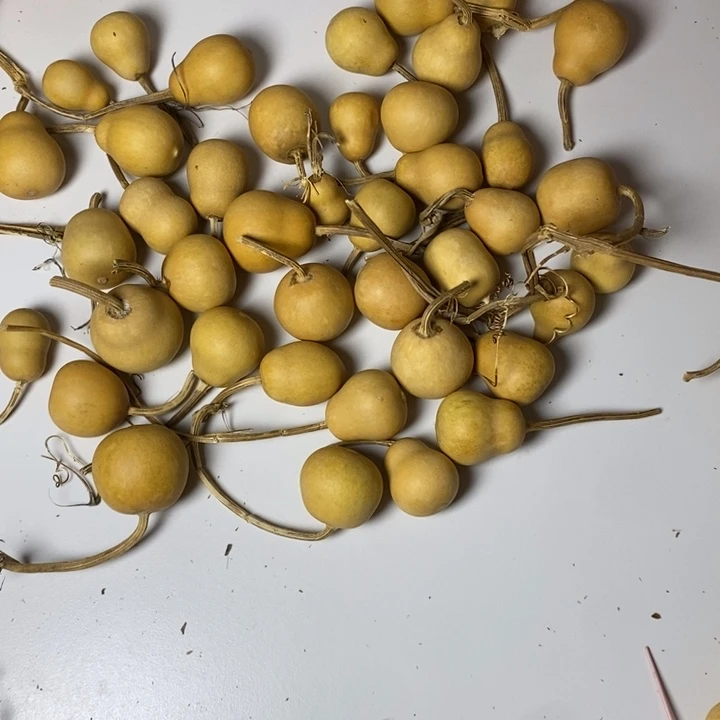 二***红葫芦小手把件葫芦异形