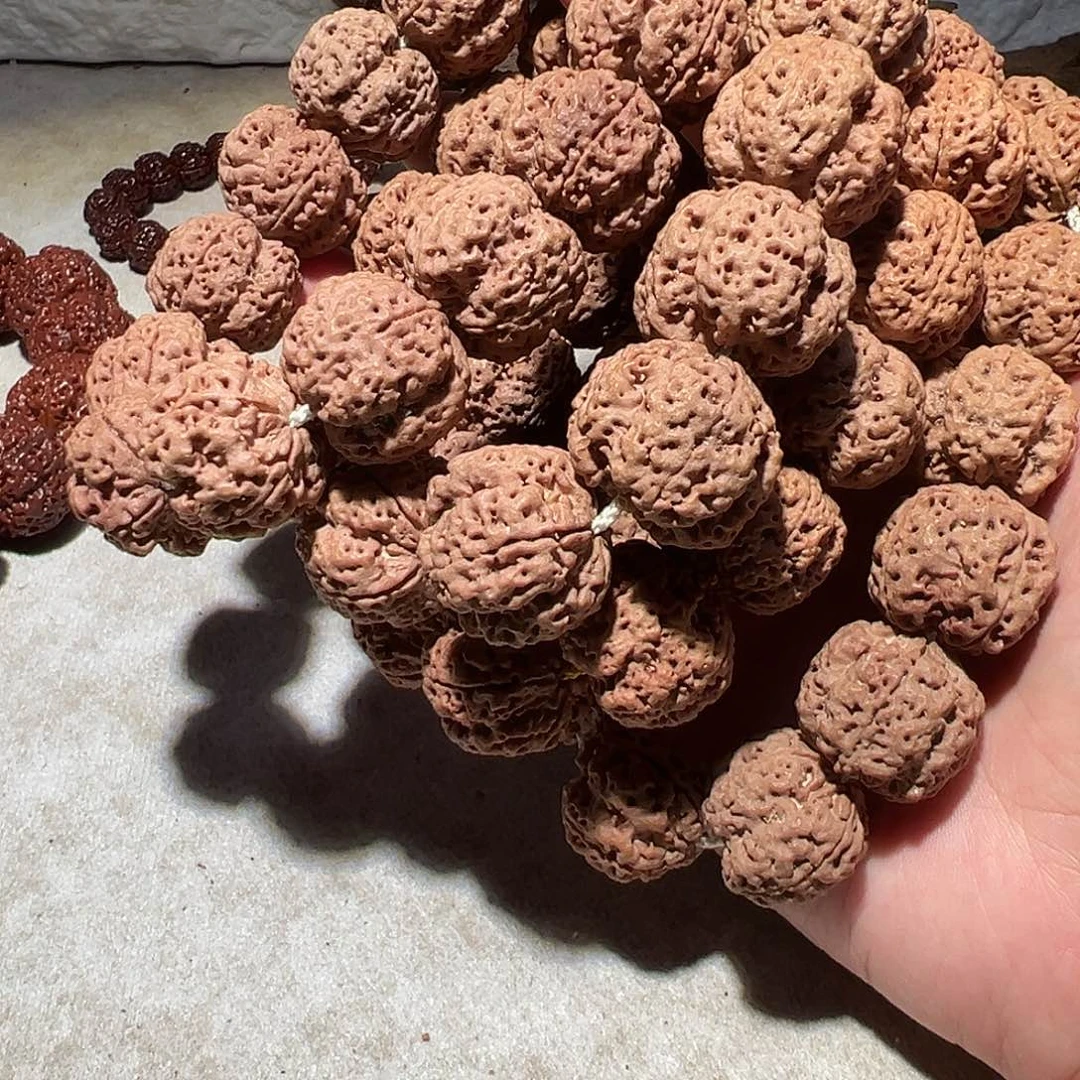 金刚菩提手串四瓣22尺寸左右福利