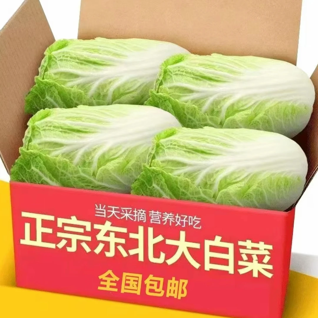 头茬东北大白菜农家现摘现发应季蔬菜包邮
