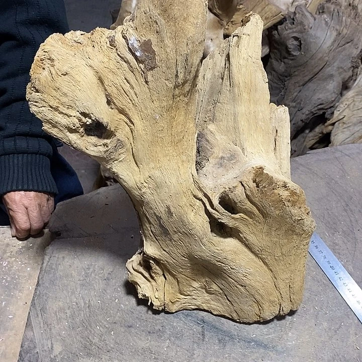 乌木类金丝楠木小叶