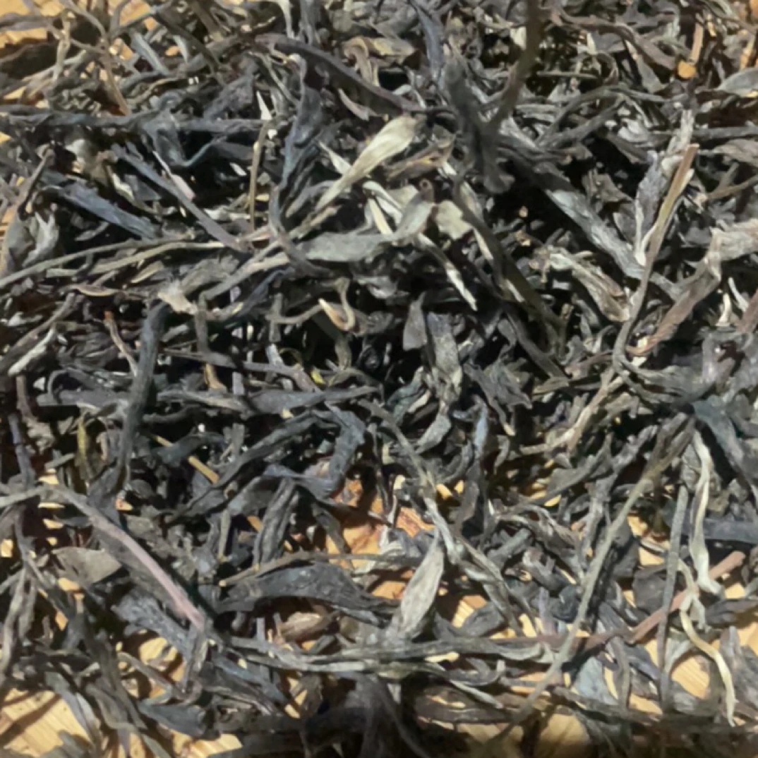 2025年云南松山李天龙家头春古树单株生茶3.42公斤