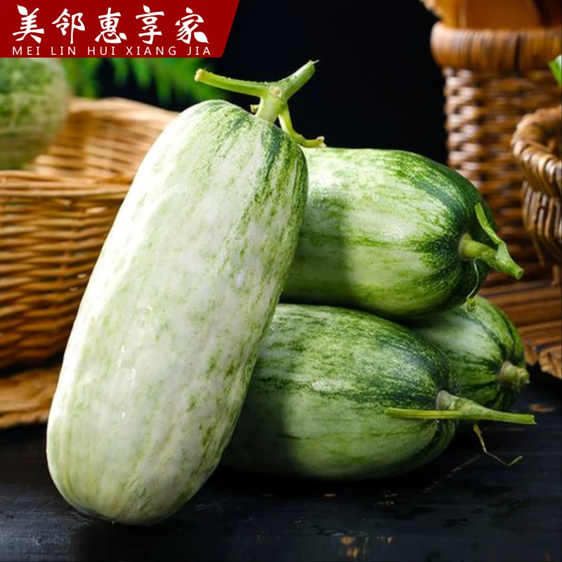 新鲜当季博洋72号甜瓜香瓜应季水果3/5斤 香甜好吃 坏果包赔