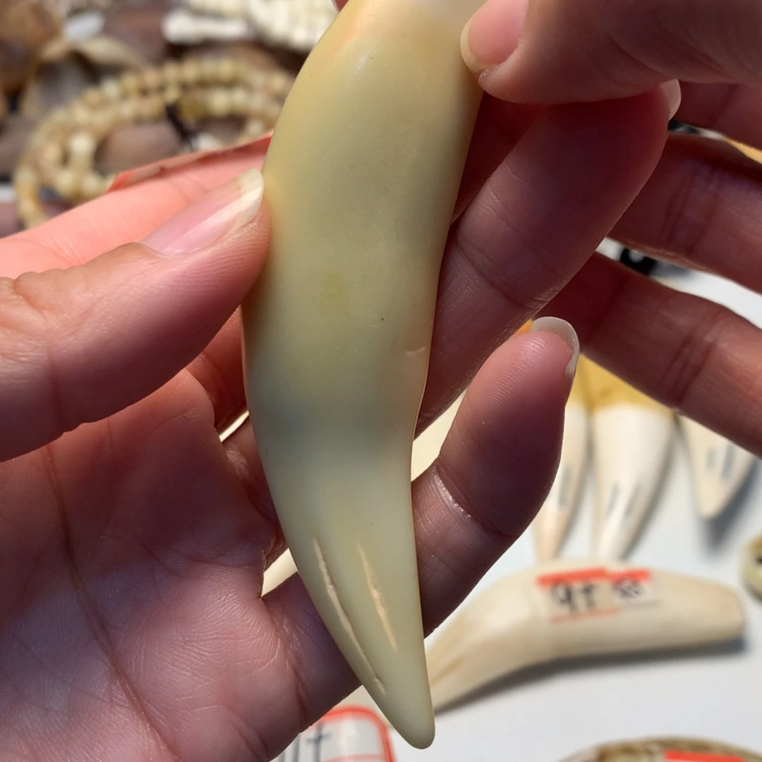 晓***品驼骨把件驼骨把件白色牙牙