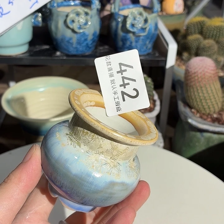 花盆花盆花盆花盆