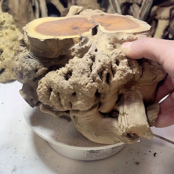 香榧木发信息吧你在哪呢