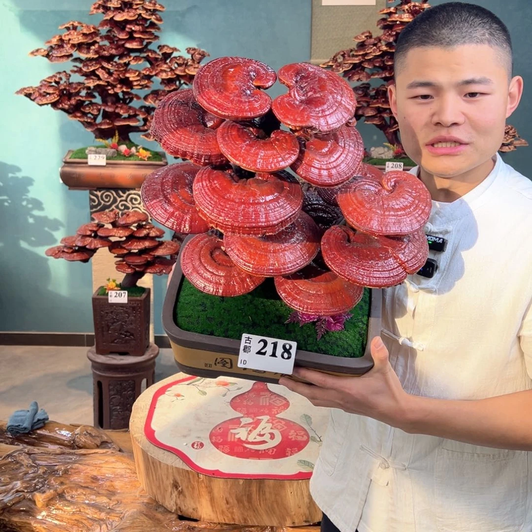 无花朵888888888898