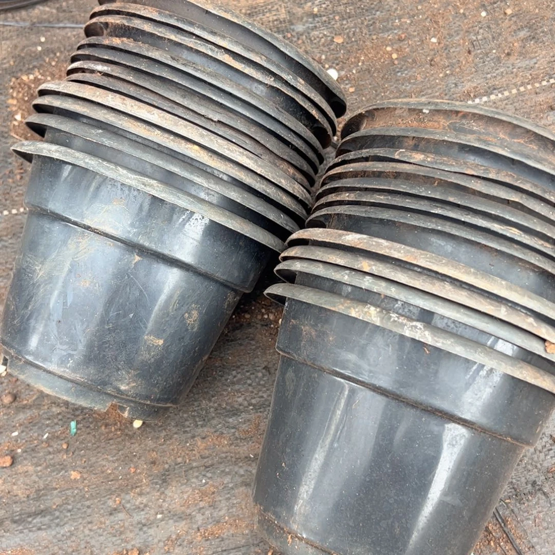 黑圆盆16-18口径11个