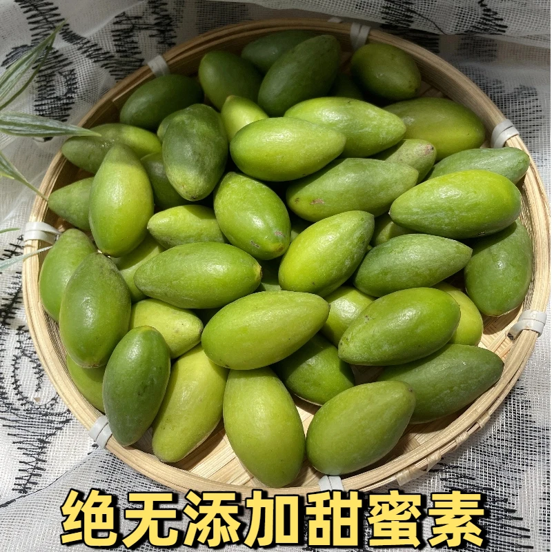 【德邦快递】新鲜水果当季现摘广东特产正宗青橄榄果非灵峰甜橄榄