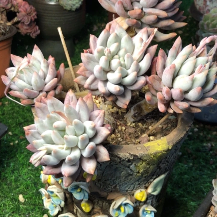 小***?107///////////////