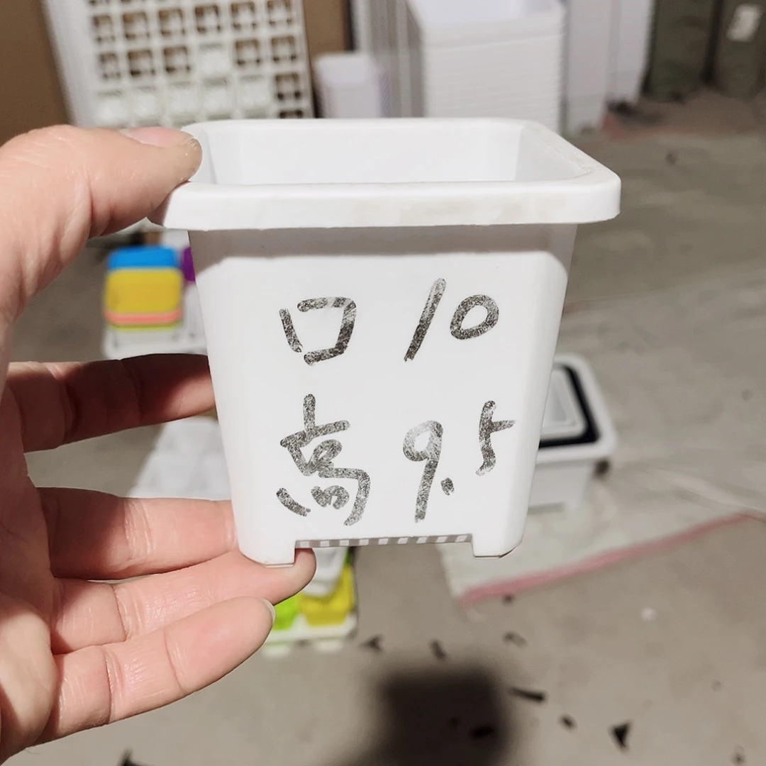 塑料升级款景天10方白色盆20个无托