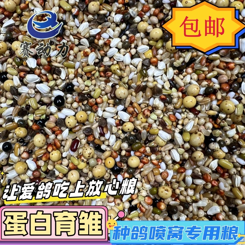 赛动力蛋白育雏喷窝粮50斤赛鸽信鸽观赏鸽翻翻鸽都可用