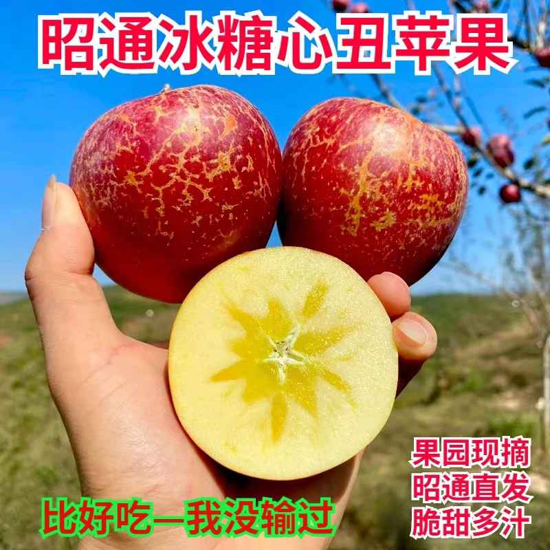 云南昭通正宗红富士冰糖心丑苹果新鲜采摘发货老人孕妇宝妈皆宜