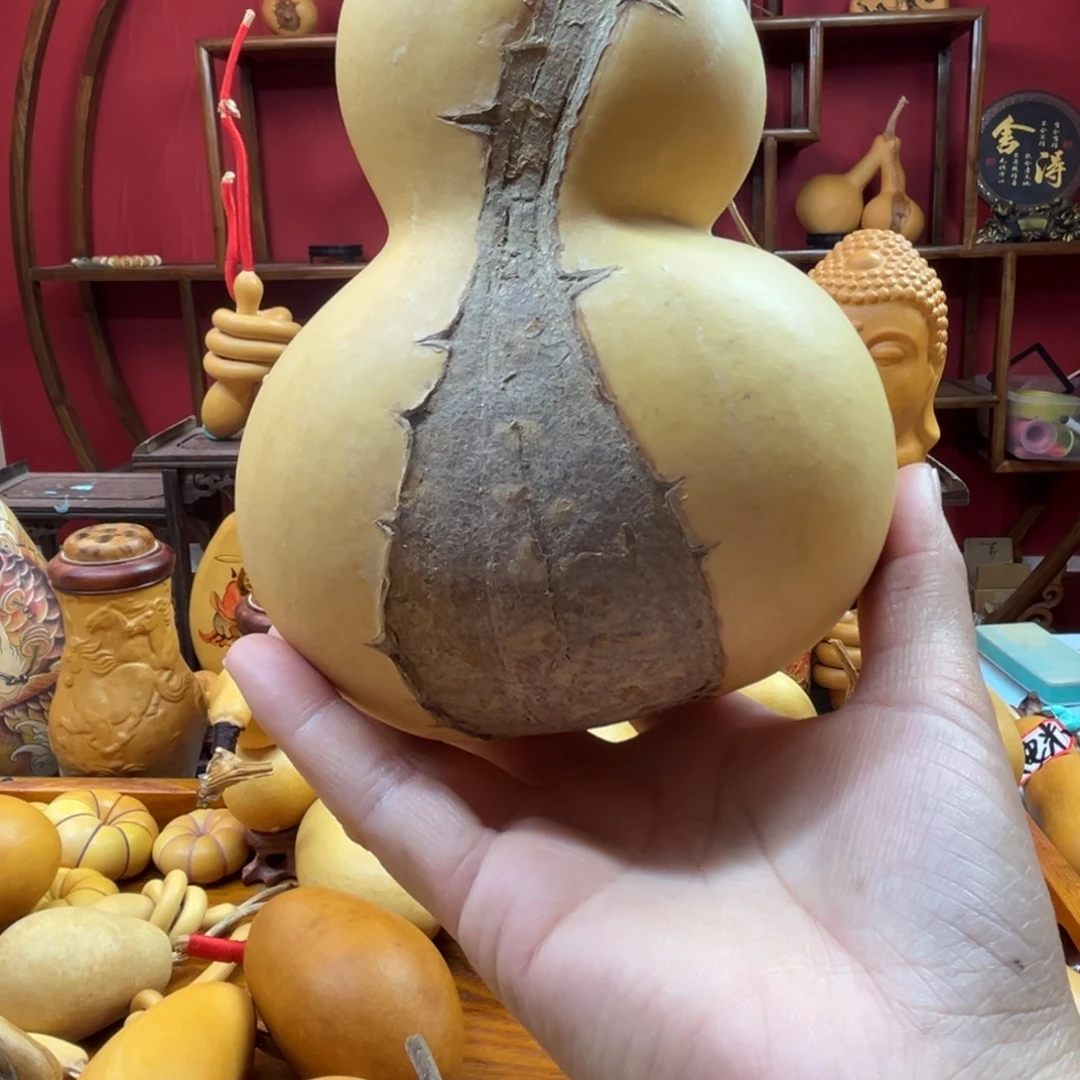 *****三醋酯纤维谢谢谢谢谢谢谢谢谢谢