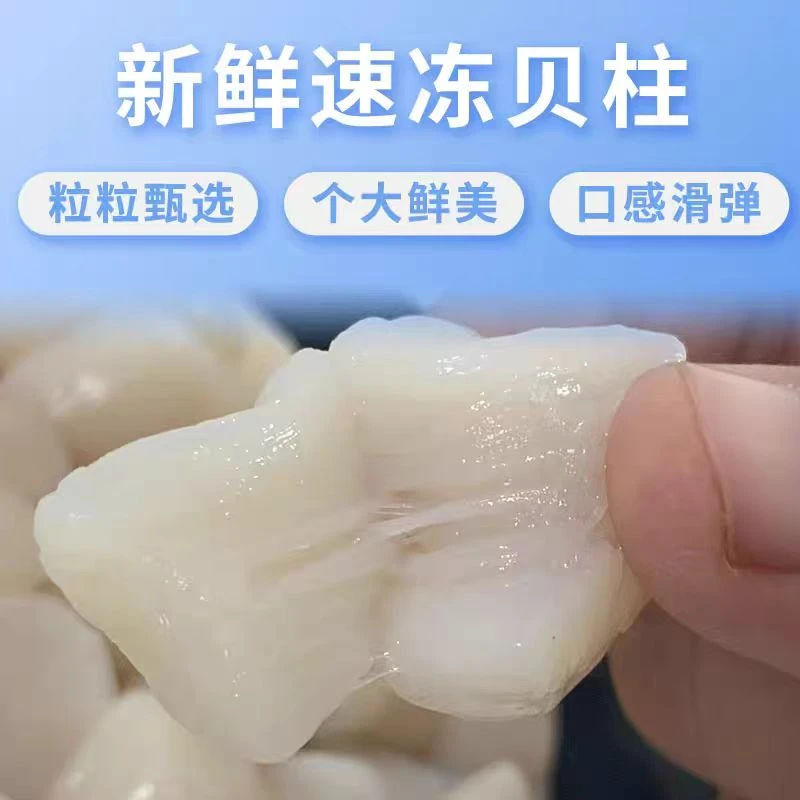新鲜现剥个大扇贝柱肉质鲜嫩香甜冷冻顺丰发货