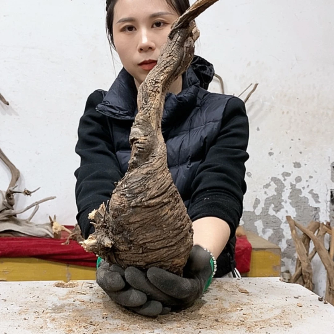 【闪购商品】柏木起*我们都是好孩子