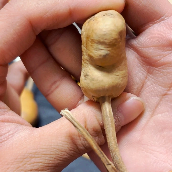 ?****8888888888888888888