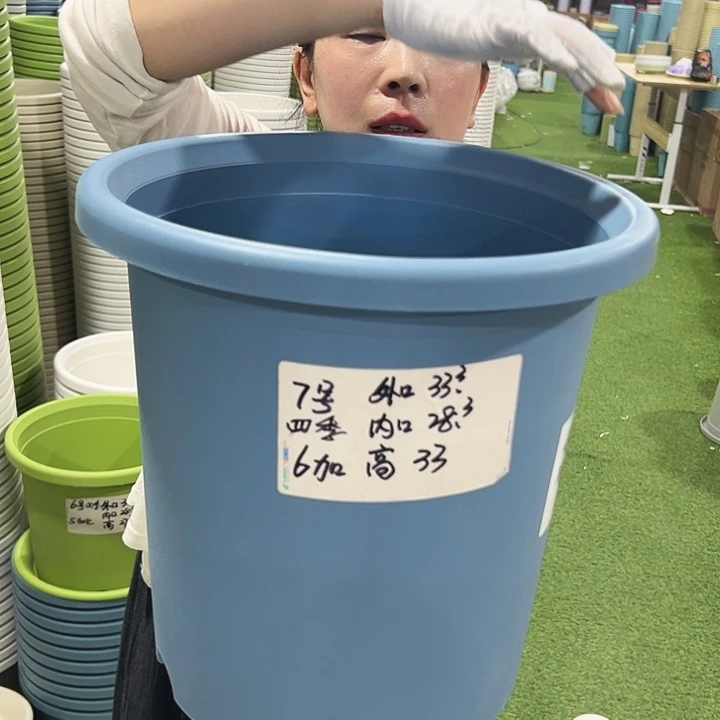 特价7号四季口33高33白色6只无托