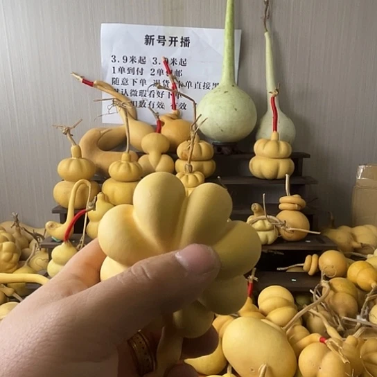 聚酯纤维雅**主葫芦