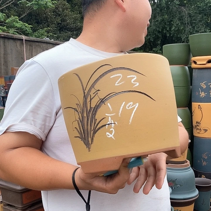 紫砂花盆盆栽植物观赏