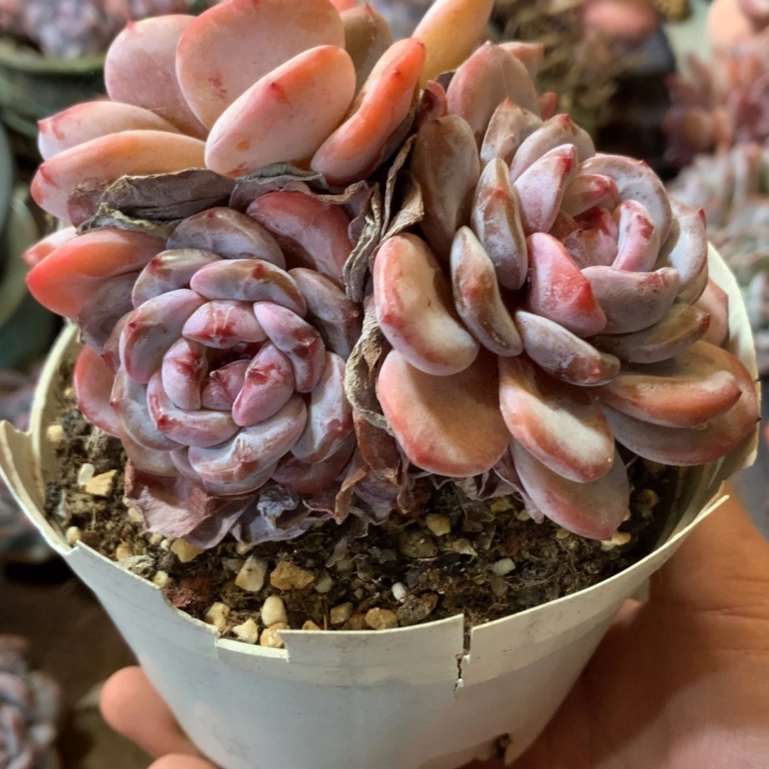 哈哈哈哈哈哈哈哈哈哈哈