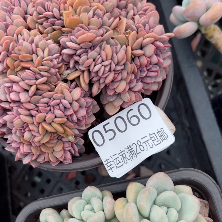 幸运的是我在这里等