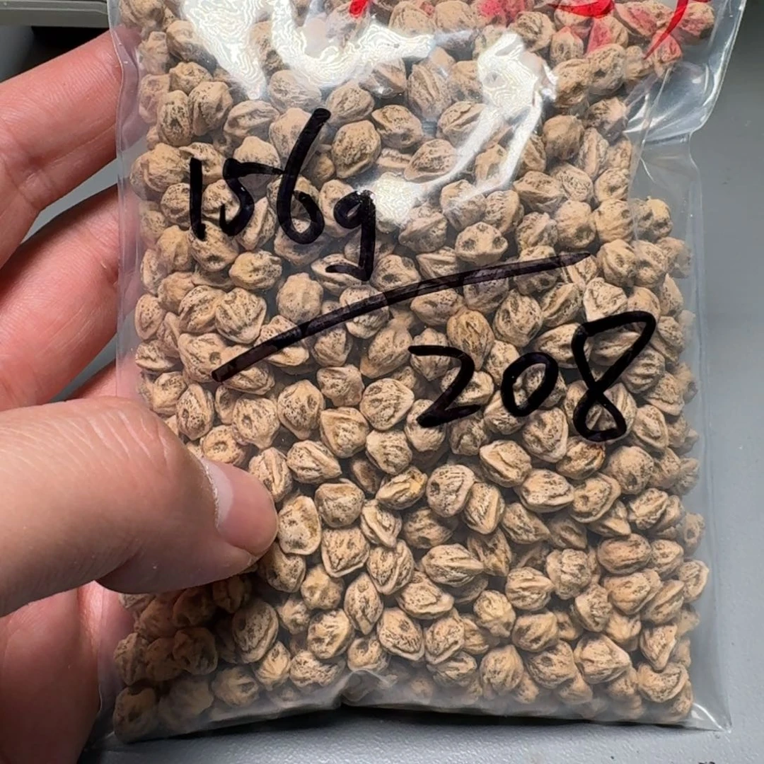 柏香籽/百香籽吊坠C*