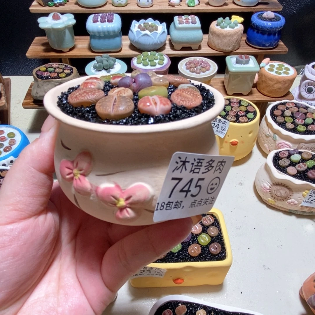 所见即所得 一物一拍745