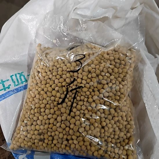 瓷片陶瓷盘子碗啥都有