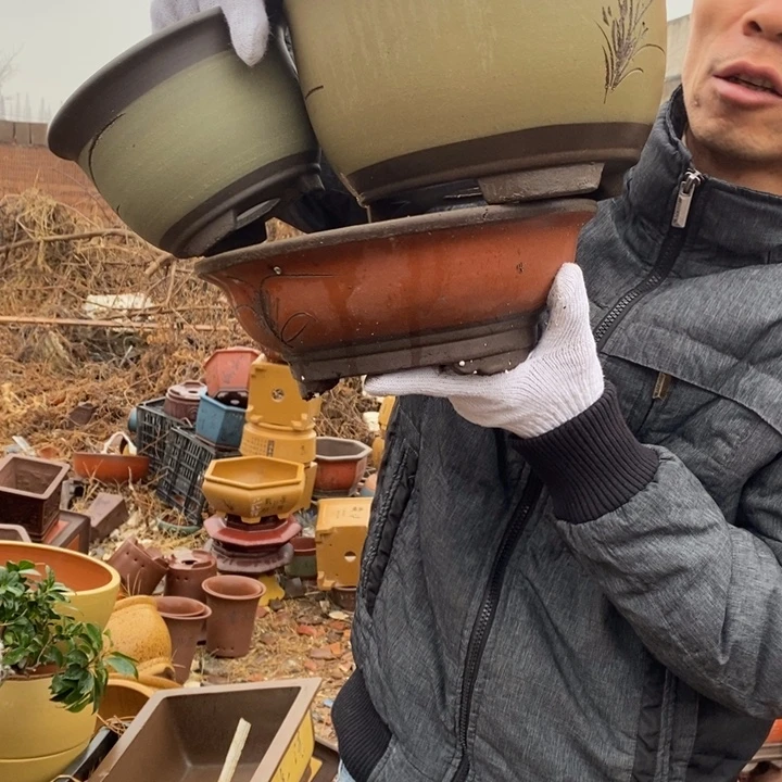 紫砂花盆紫砂艺术学院