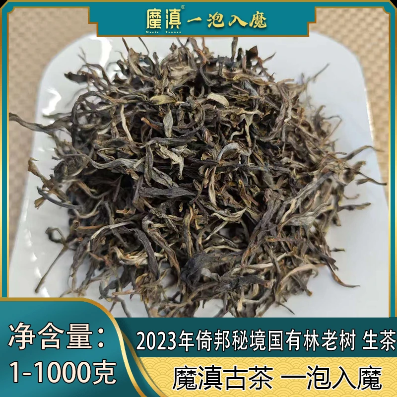 魔滇  2023年  倚邦秘境国有林老树   1-1000克  散茶  普洱生茶