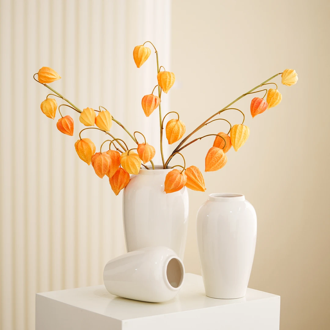 宿雨简约ins风白色陶瓷花瓶客厅插花摆件轻奢高级感装饰水培器皿