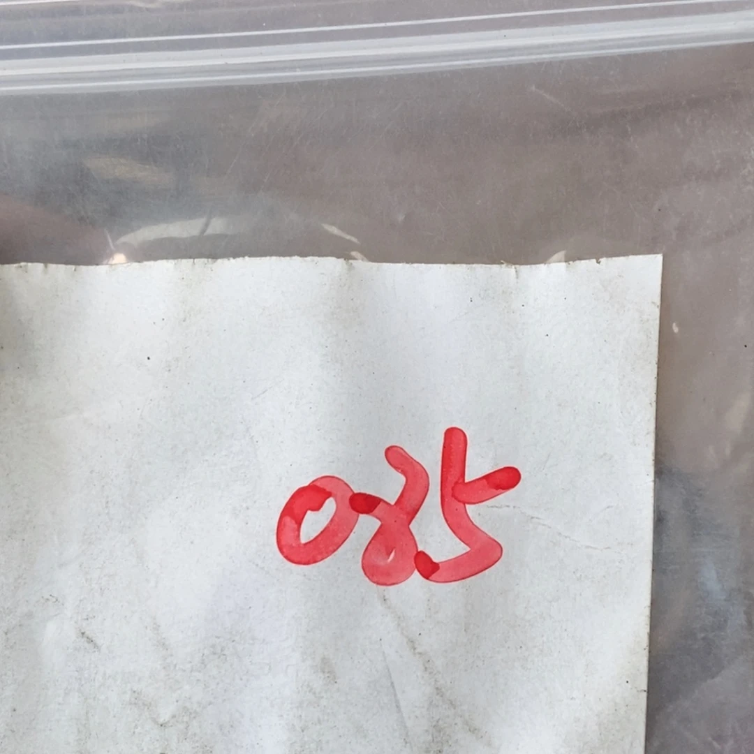 忘***你吊坠龙脊菩提德宝文玩直播间专属链接