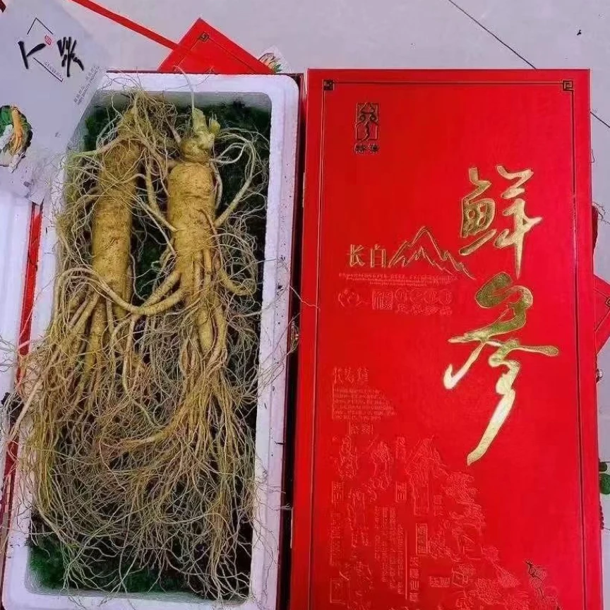 长白山鲜人参~两支一盒(礼盒)~煲汤泡酒煮水
